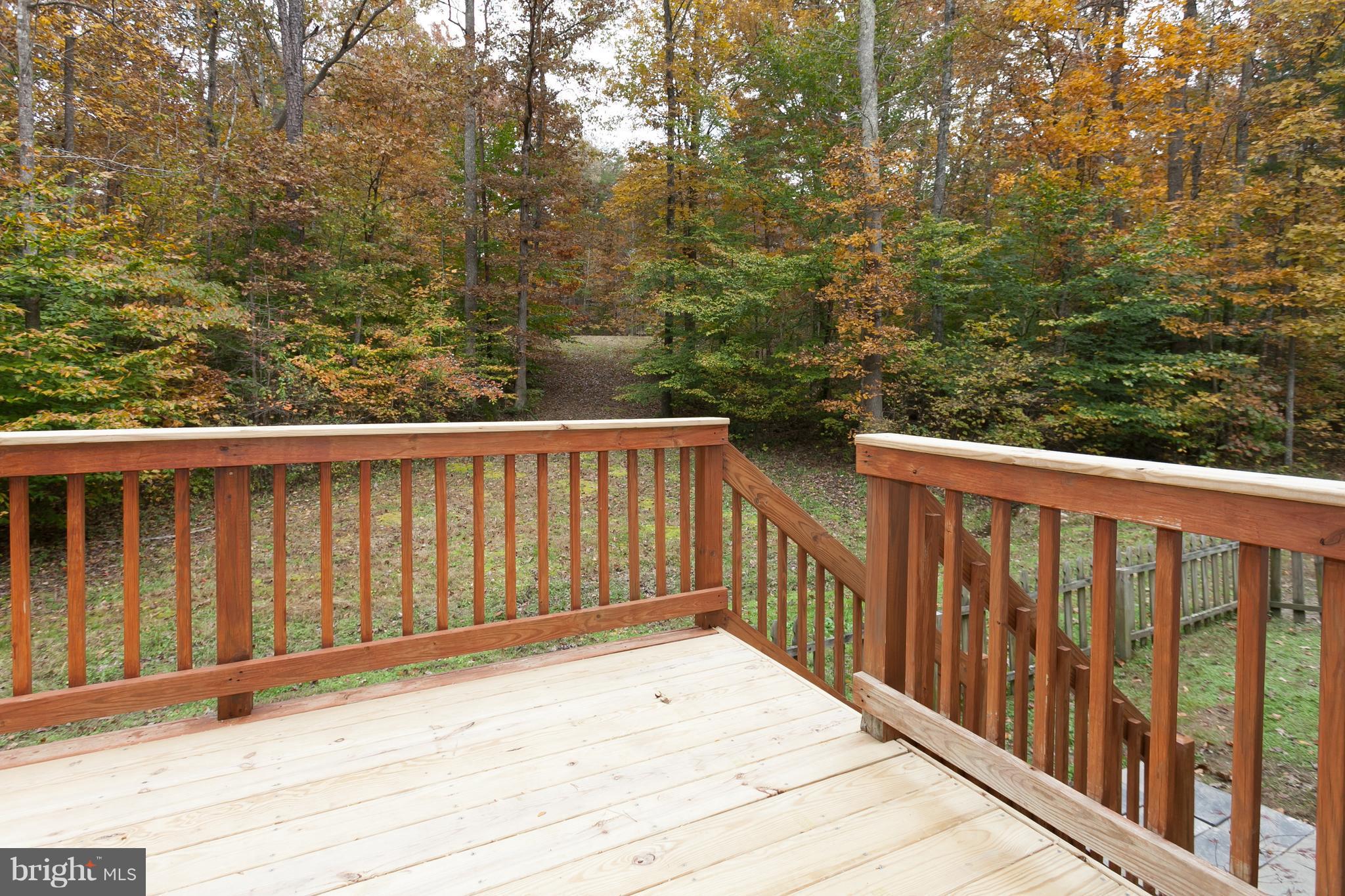 4455 Halls Road Mineral, VA 23117 - Photo 28 of 30 Rear Deck