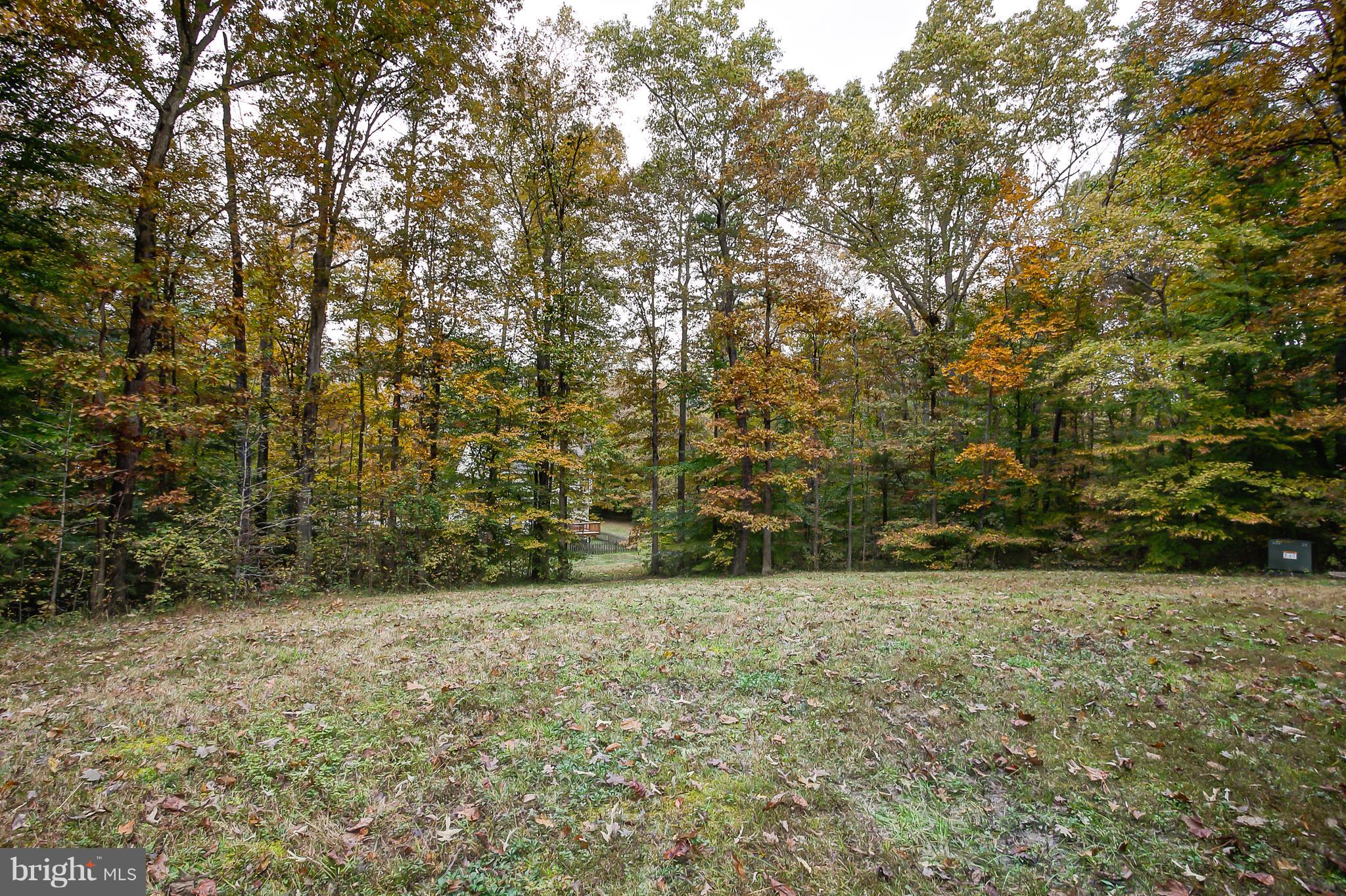 4455 Halls Road Mineral, VA 23117 - Photo 6 of 30 Secluded yard in the back