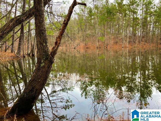0 Deaver Walker Road Trafford, AL 35172 - Photo 24 of 28