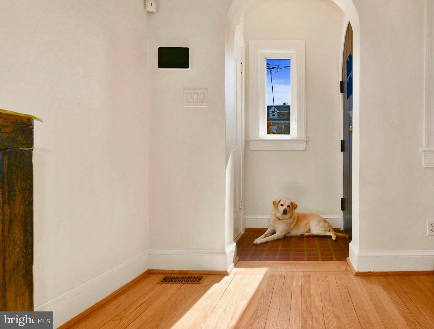 1335 Rittenhouse Street Northwest Washington, DC 20011 - Photo 32 of 33 Adorable Luna