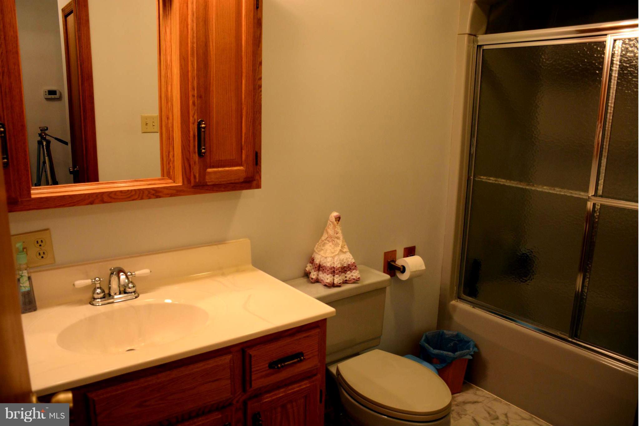 3942 Mills Road Sharpsburg, MD 21782 - Photo 19 of 30 Bath