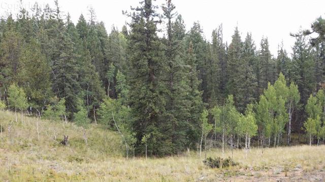 2905 Pathfinder Road Florissant, CO 80816 - Photo 10 of 15 Gallery Image 10