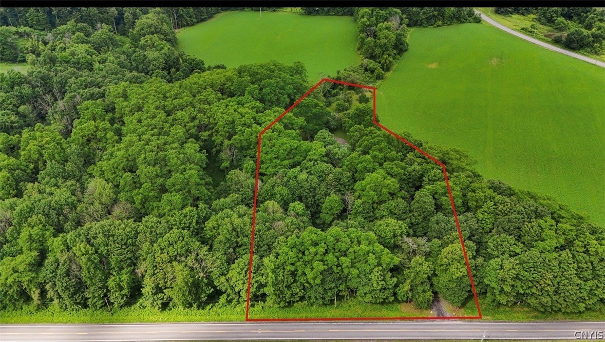 6128 Fearon Road Eaton, NY 13409 - Photo 38 of 46
