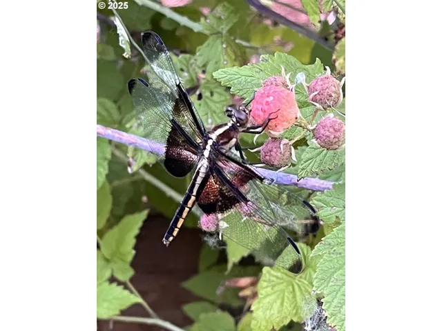 $544,500 | 172 Oakleigh Lane, Unit 513, Eugene, OR 97404