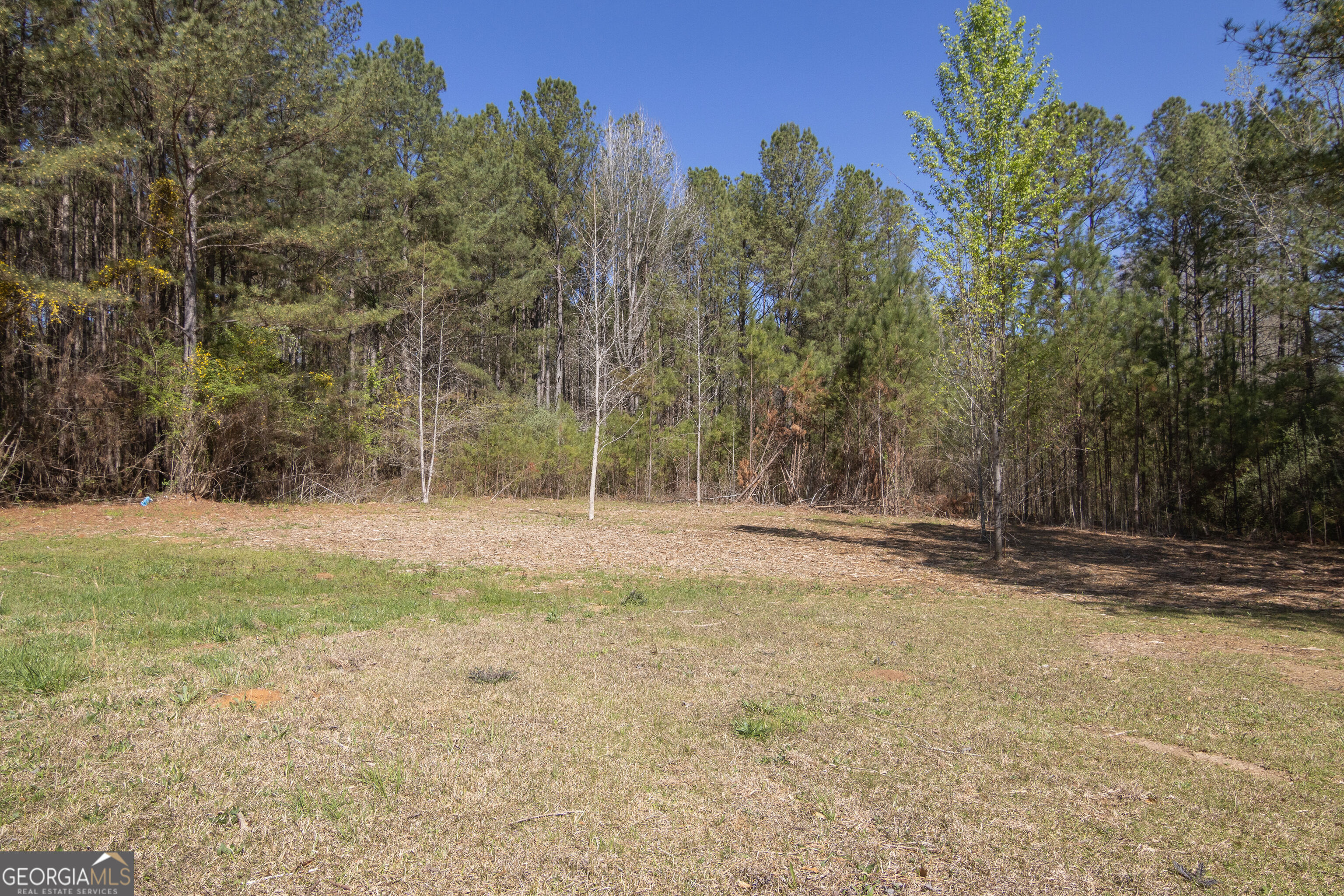 331 Deerfield Road Hogansville, GA 30230 - Photo 56 of 62 a view of a yard with trees