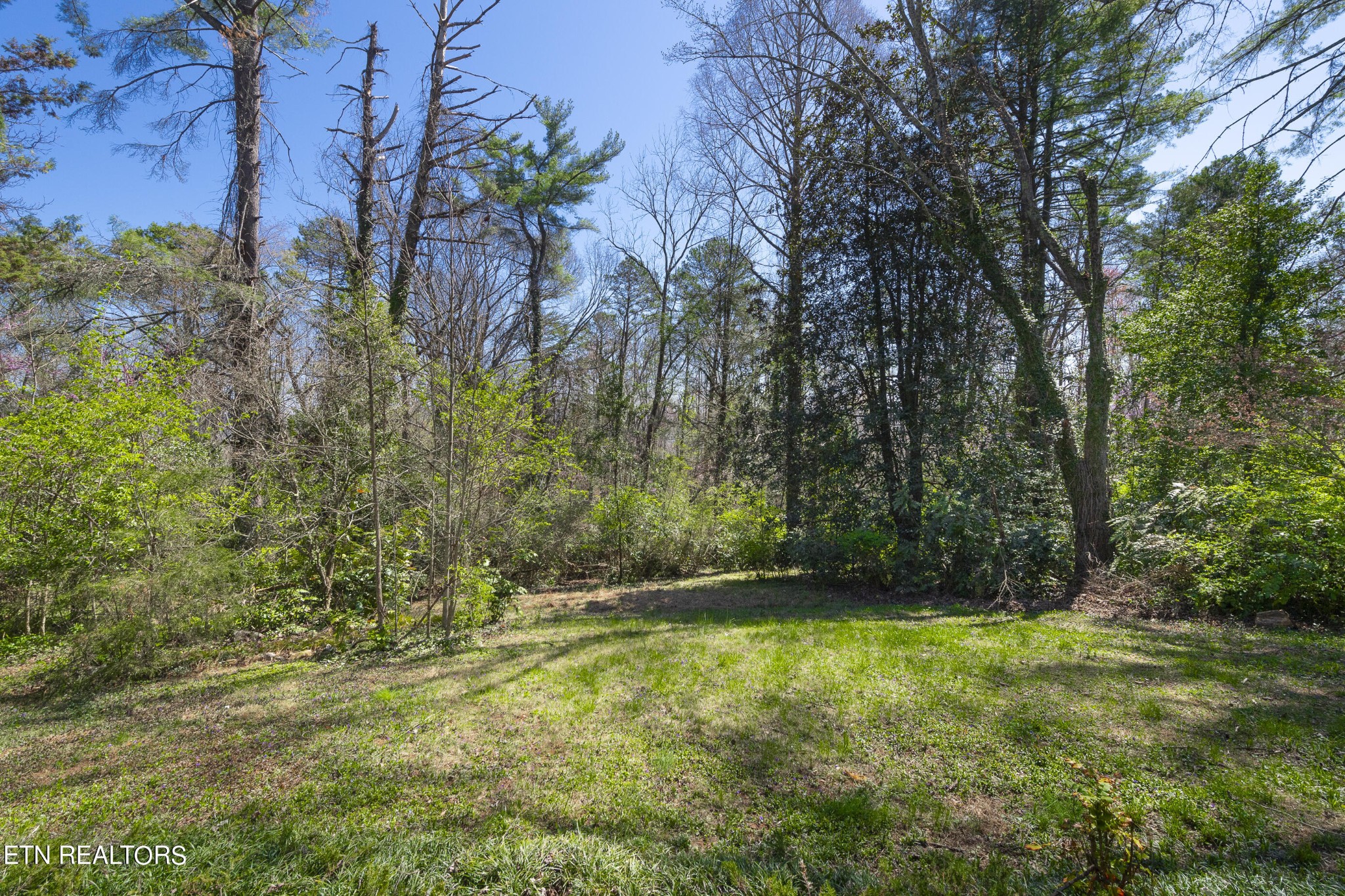 517 Delaware Avenue Oak Ridge, TN 37830 - Photo 38 of 38