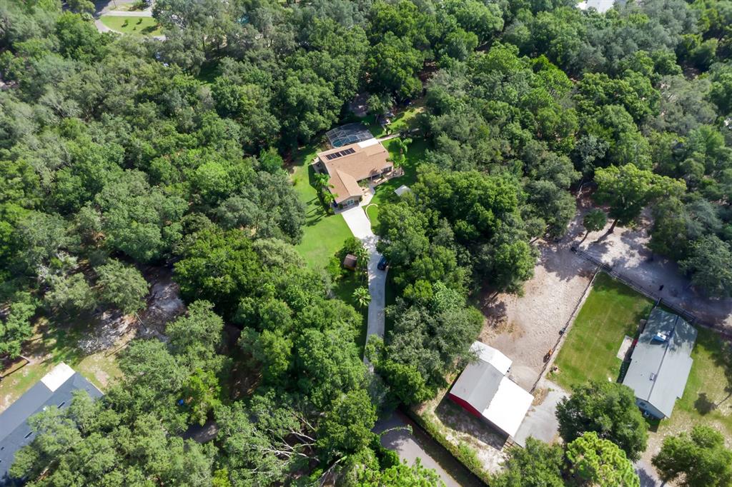 2619 West Ponkan Road Apopka, FL 32712 - Photo 4 of 37