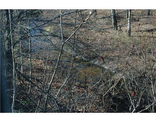 82 Mechanic Falls Road Oxford, ME 04270 - Photo 14 of 25 View. Meadow brook runs through the...