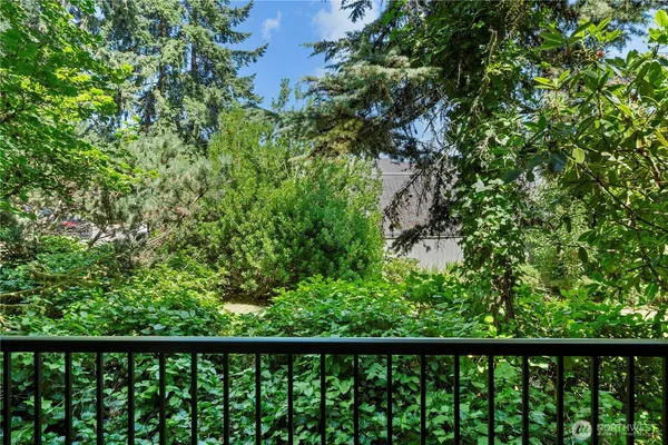 a view of a balcony with a plant