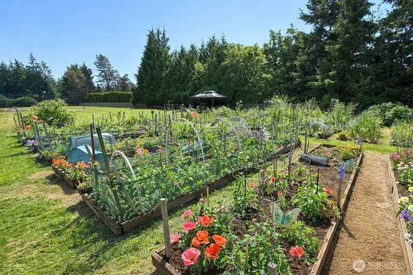 a view of a garden with flowers