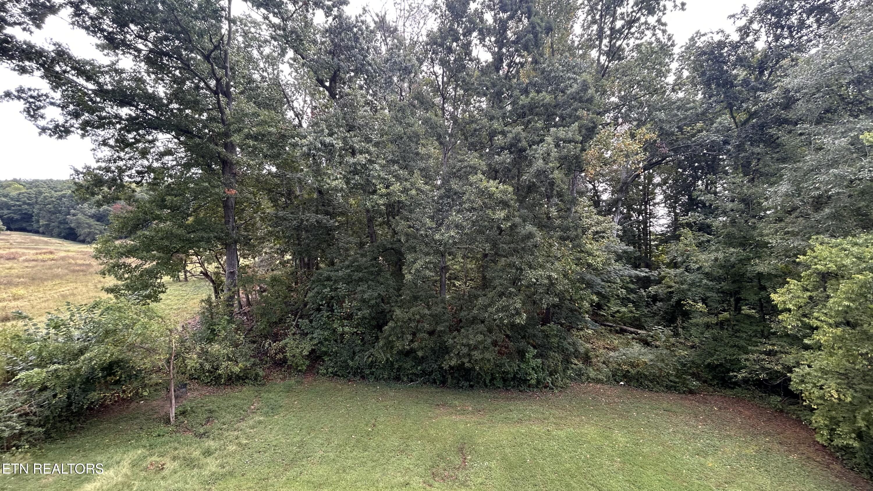 4835 Cameron Road Morristown, TN 37814 - Photo 22 of 24 IMG_7578