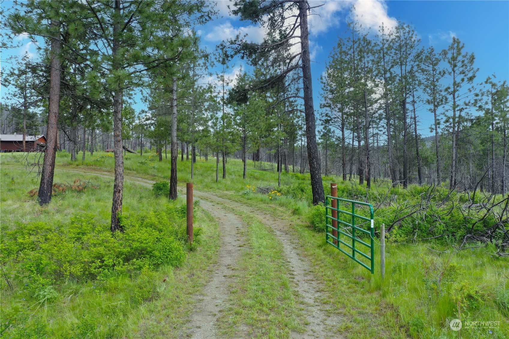 45 Granite Ridge Road Riverside, WA 98849 - Photo 28 of 39 Gallery Image 28