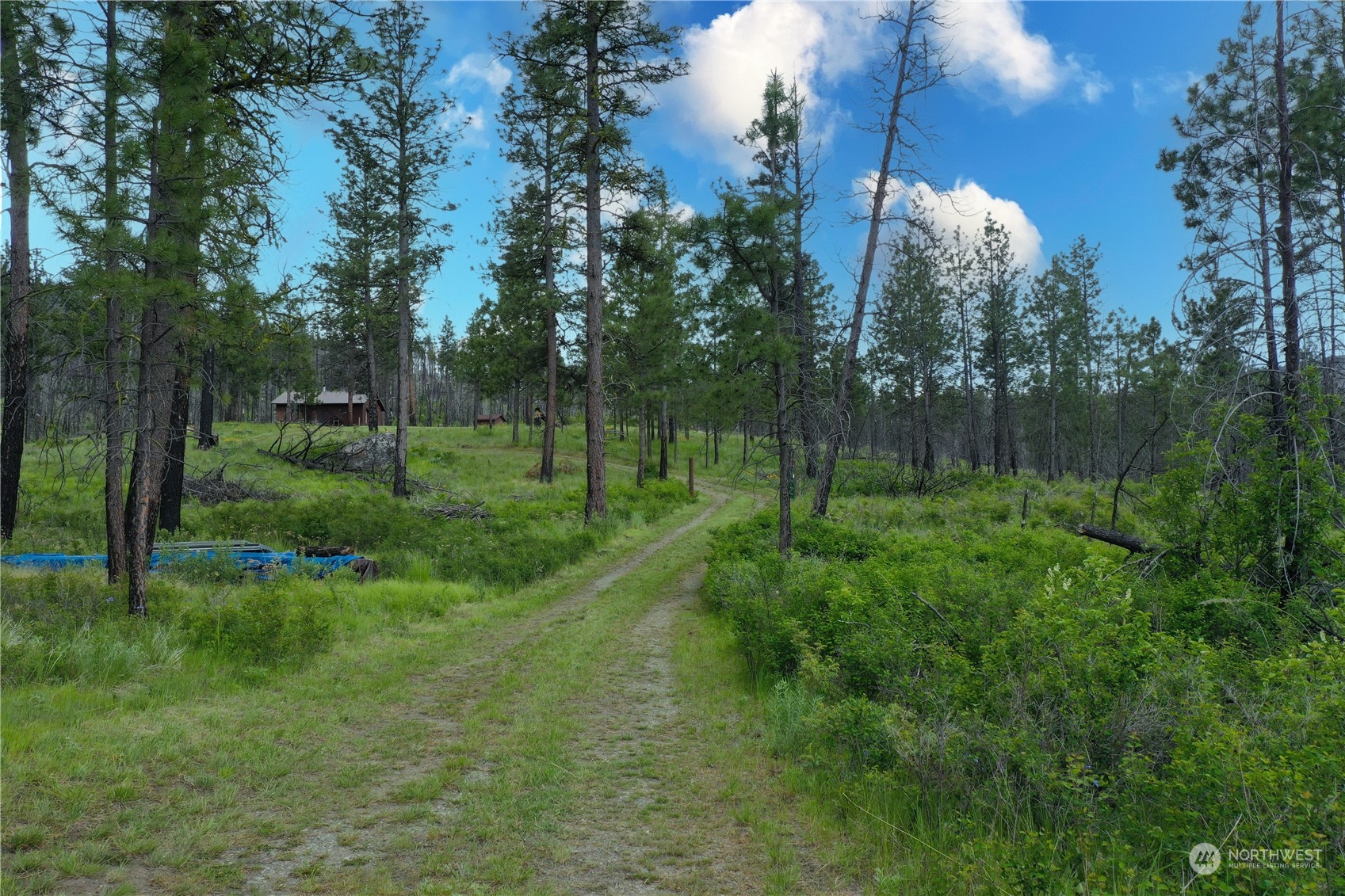 45 Granite Ridge Road Riverside, WA 98849 - Photo 31 of 39 Gallery Image 31