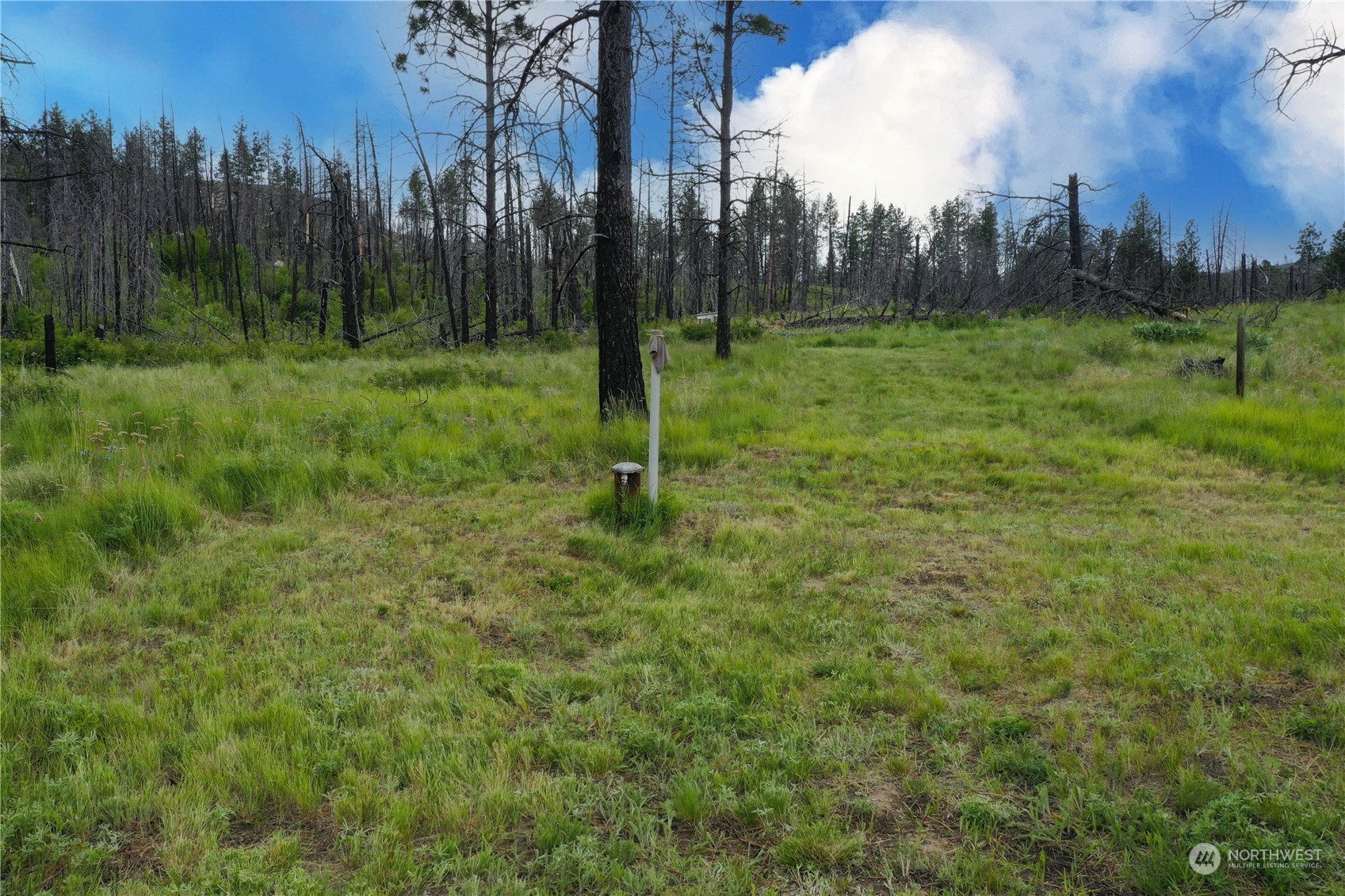 45 Granite Ridge Road Riverside, WA 98849 - Photo 37 of 39 Gallery Image 37
