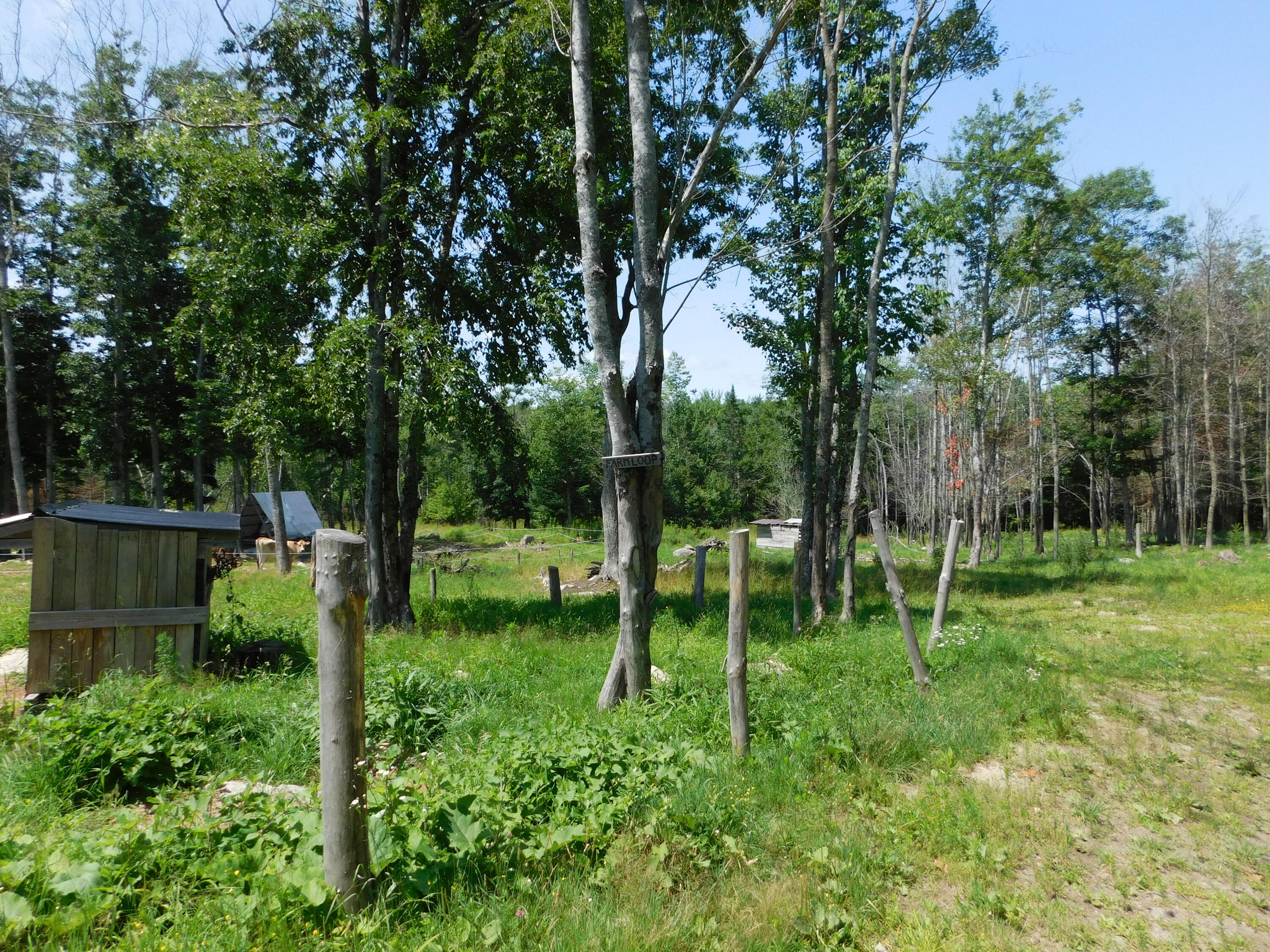 535 Betts Road Bucksport, ME 04416 - Photo 60 of 120 DSCN1333