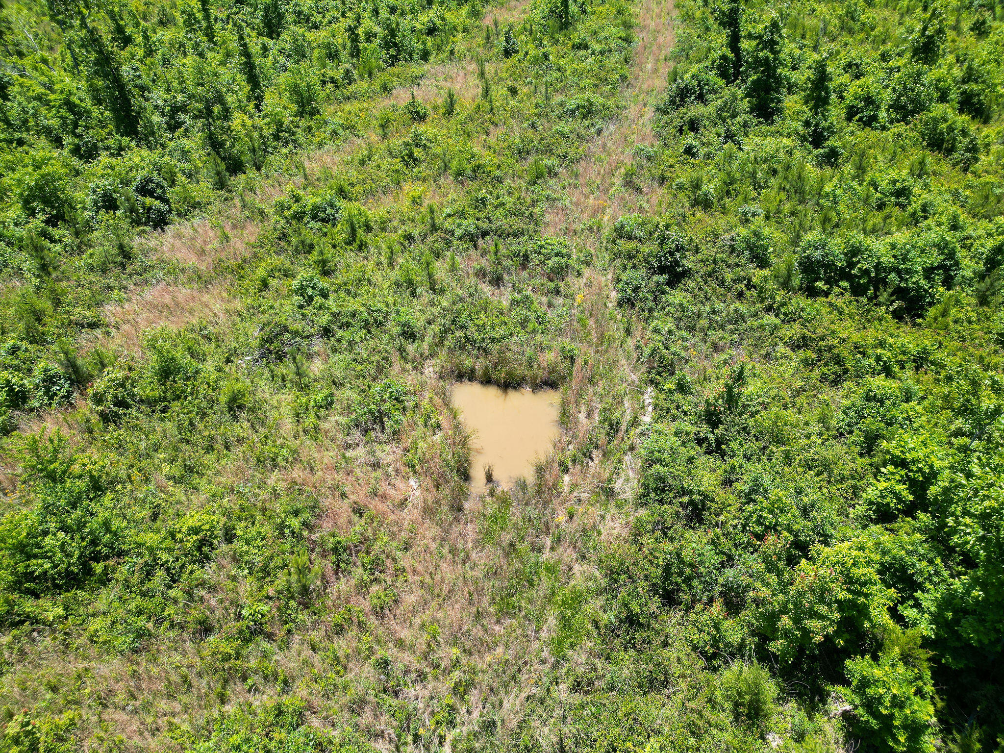 74-acs Bethel Road Valley Head, AL 35989 - Photo 12 of 12 DJI_0225