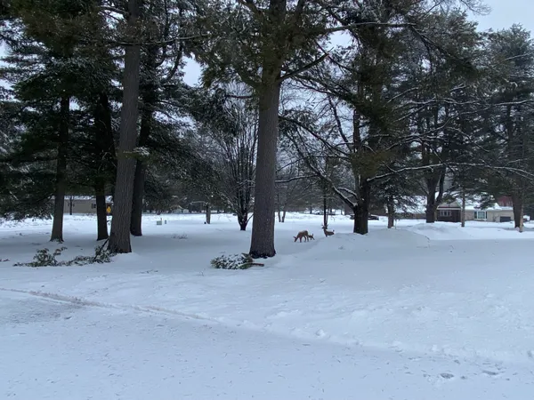 $195,000 | N18720 Venstra Drive, Pembine, WI 54156