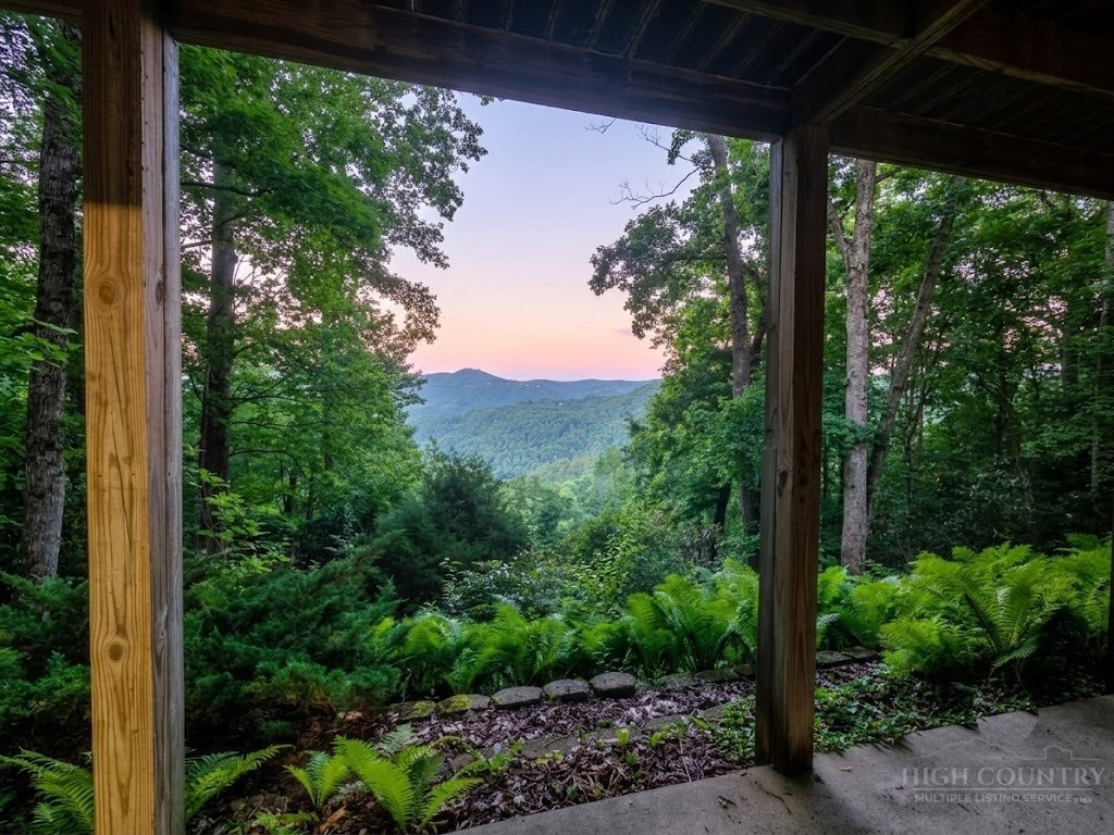 342 Wildwood Run Road Banner Elk, NC 28604 - Photo 4 of 19