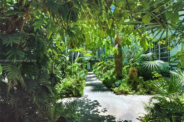 a view of a garden with plants
