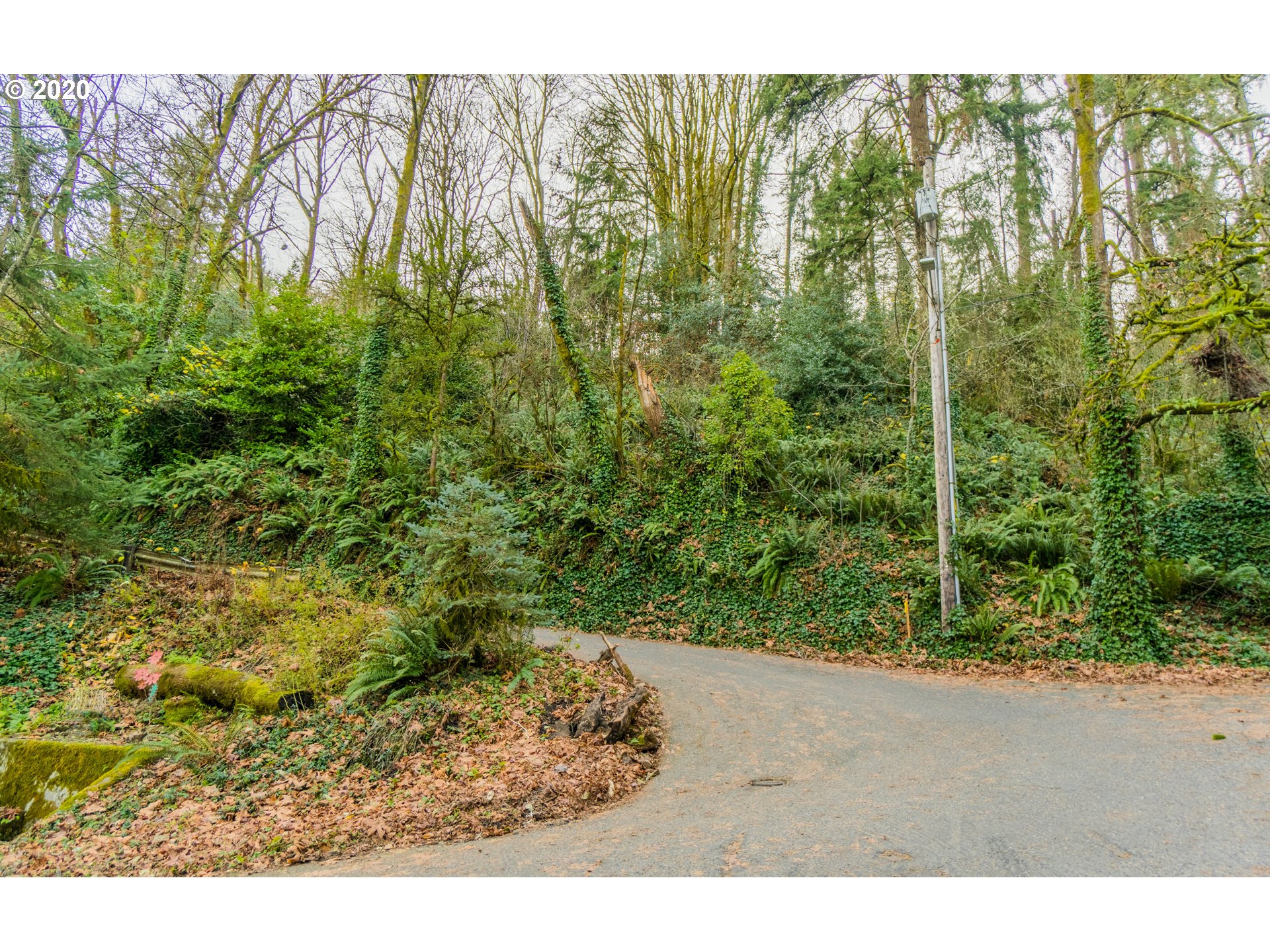 0 Northwest Germantown Road, Unit LOT B Portland, OR 97231 - Photo 3 of 8 Gallery Image 3