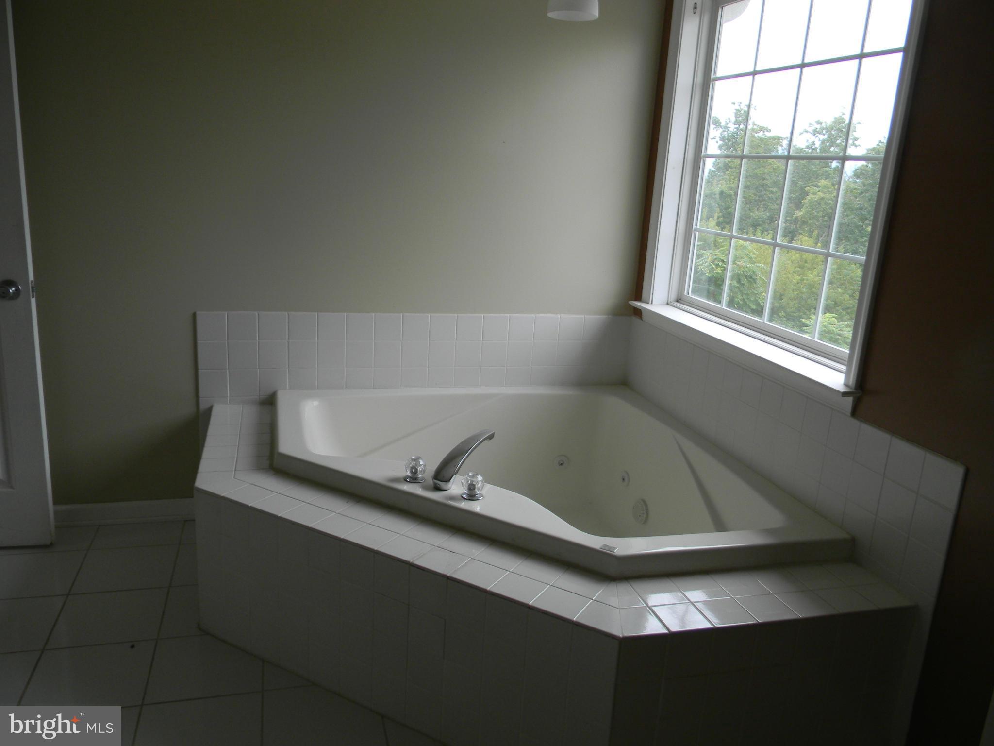 1686 Kendrick Ford Road Front Royal, VA 22630 - Photo 17 of 28 Bath