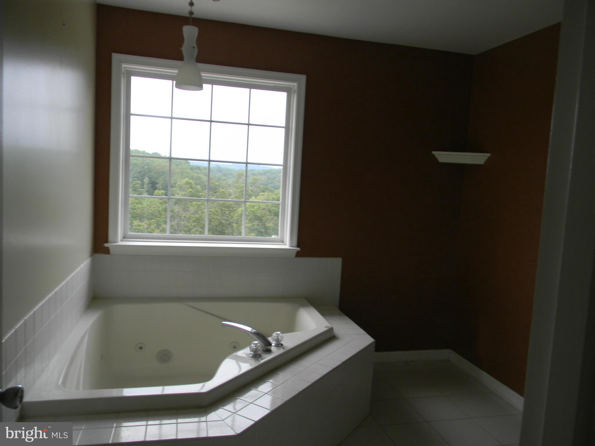 1686 Kendrick Ford Road Front Royal, VA 22630 - Photo 18 of 28 Bath