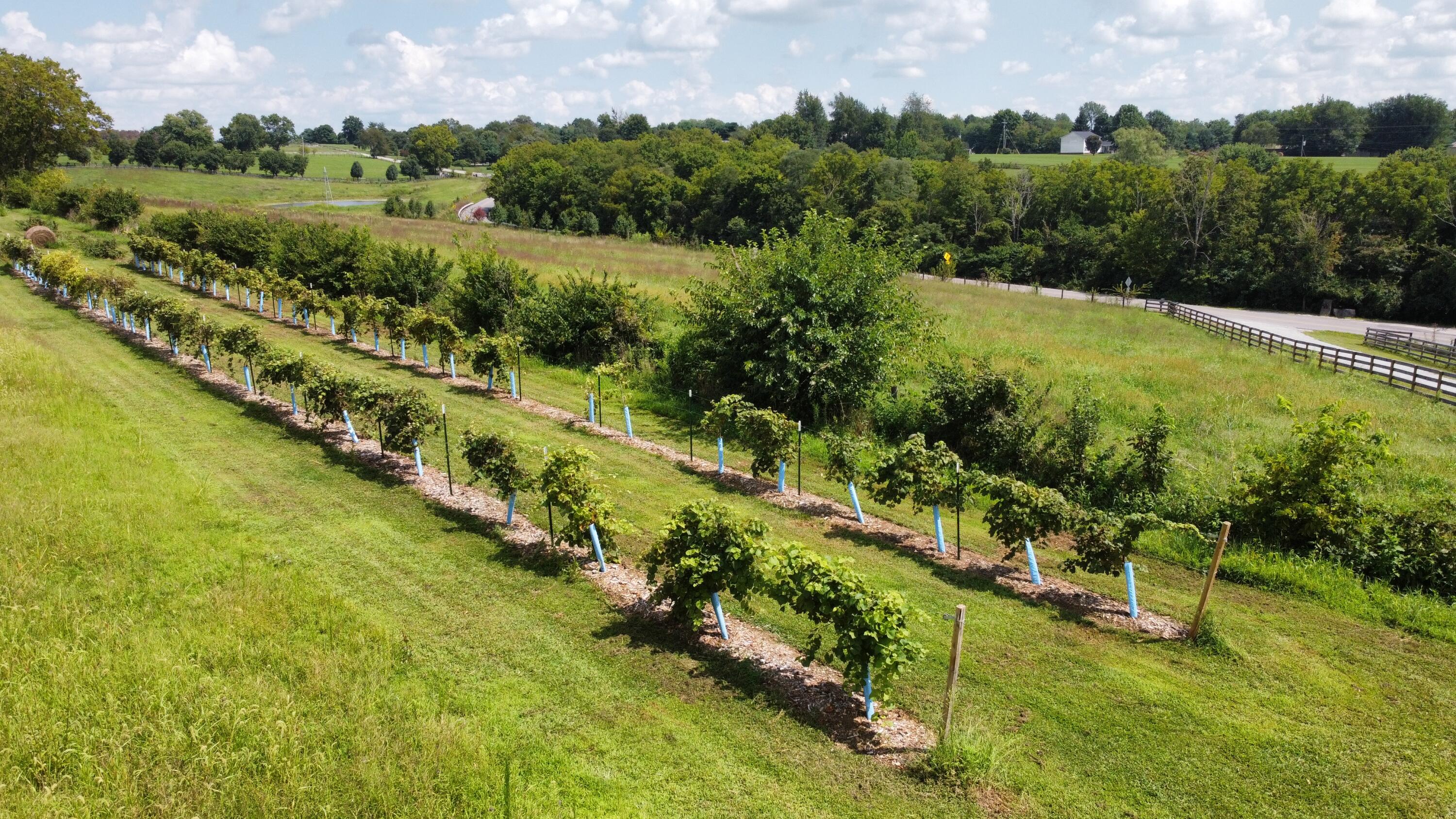 1560 Rogers Road Lancaster, KY 40444 - Photo 54 of 60 drone4