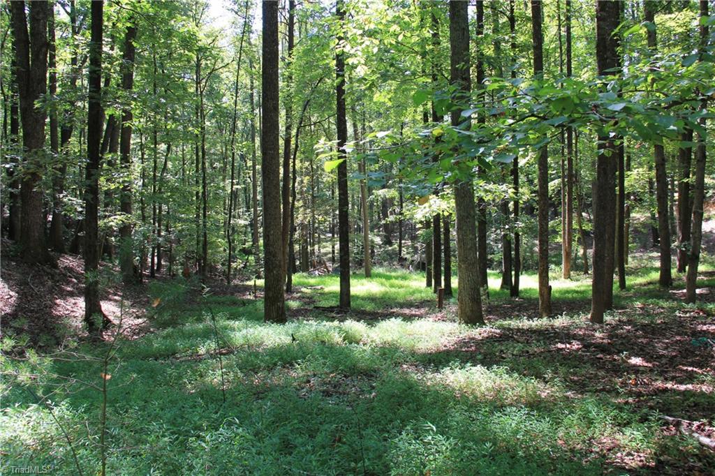 315 Royall Road Thurmond, NC 28683 - Photo 25 of 27 Gallery Image 25