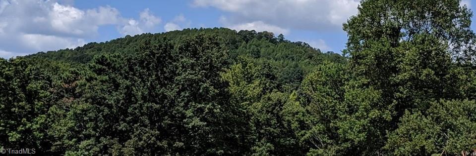 315 Royall Road Thurmond, NC 28683 - Photo 27 of 27 Gallery Image 27