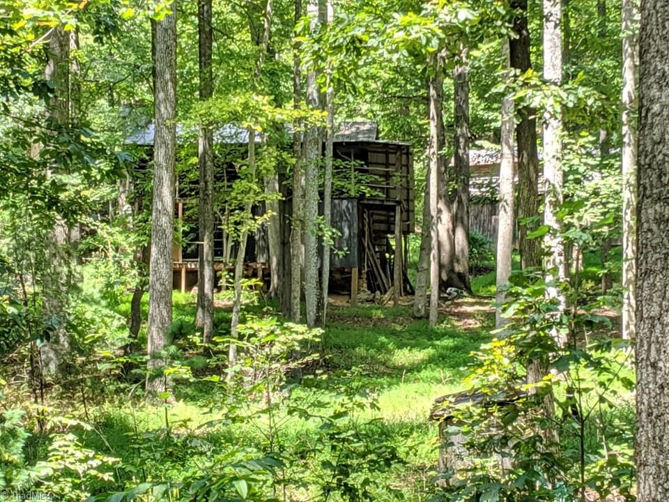 315 Royall Road Thurmond, NC 28683 - Photo 4 of 27 Gallery Image 4