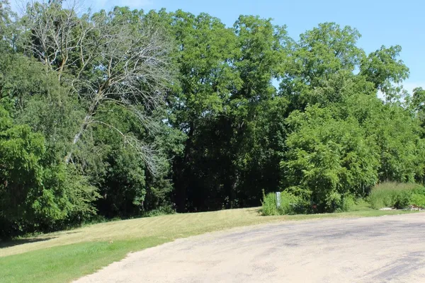 a view of outdoor space and green space