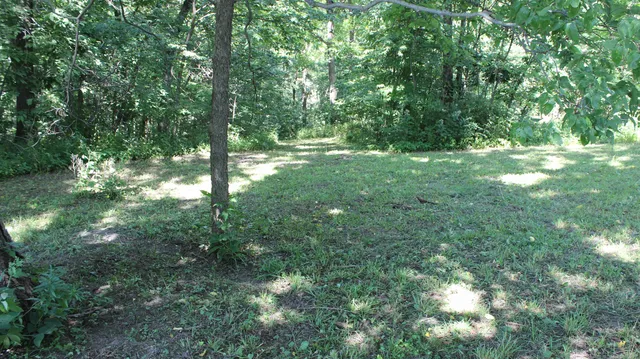 a view of outdoor space and yard