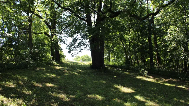 a view of outdoor space and yard