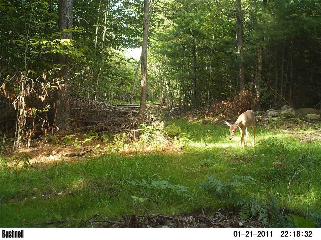 0 Steele Road Auburn, ME 04210 - Photo 2 of 2 Photo