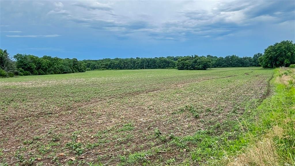 Tbd Road Rich Hill, MO 64779 - Photo 13 of 19