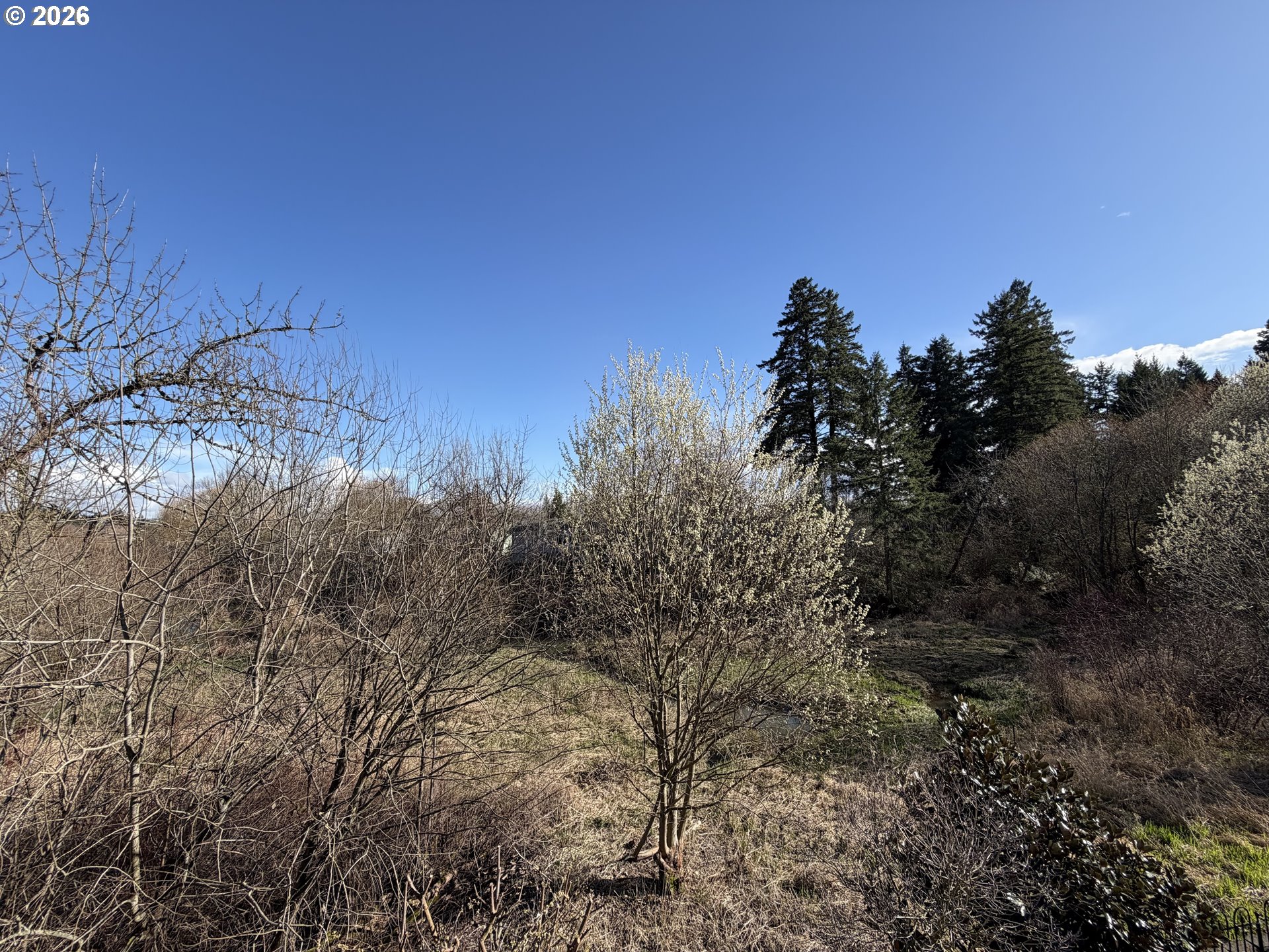 17808 Northwest Pioneer Road Beaverton, OR 97006 - Photo 43 of 48