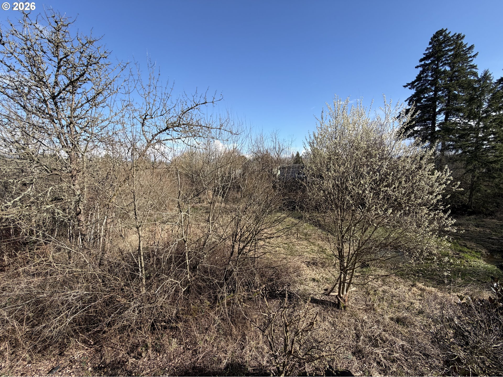 17808 Northwest Pioneer Road Beaverton, OR 97006 - Photo 44 of 48