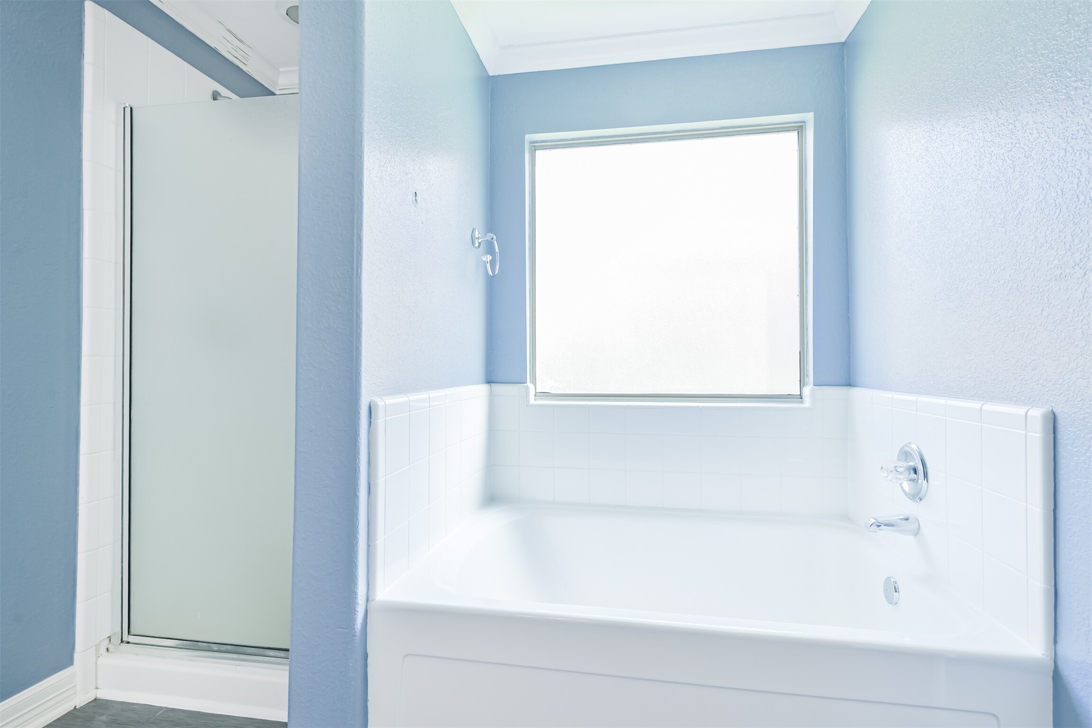 9207 Cribbage Court Houston, TX 77083 - Photo 15 of 47 Primary bathroom with separate tub and shower