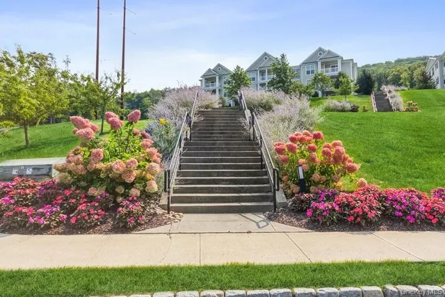 a view of a flowers in front of flowers