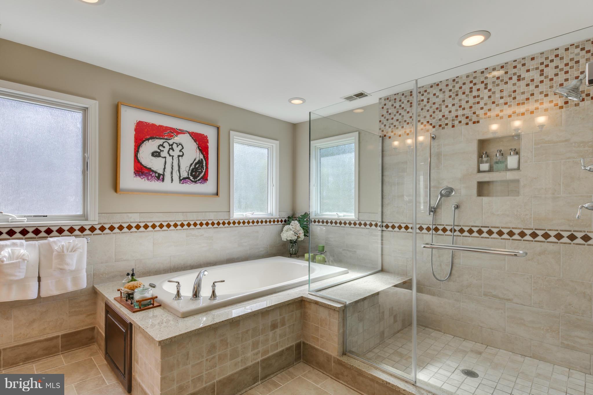 11285 Ridermark Row Columbia, MD 21044 - Photo 15 of 30 Bath (Master)