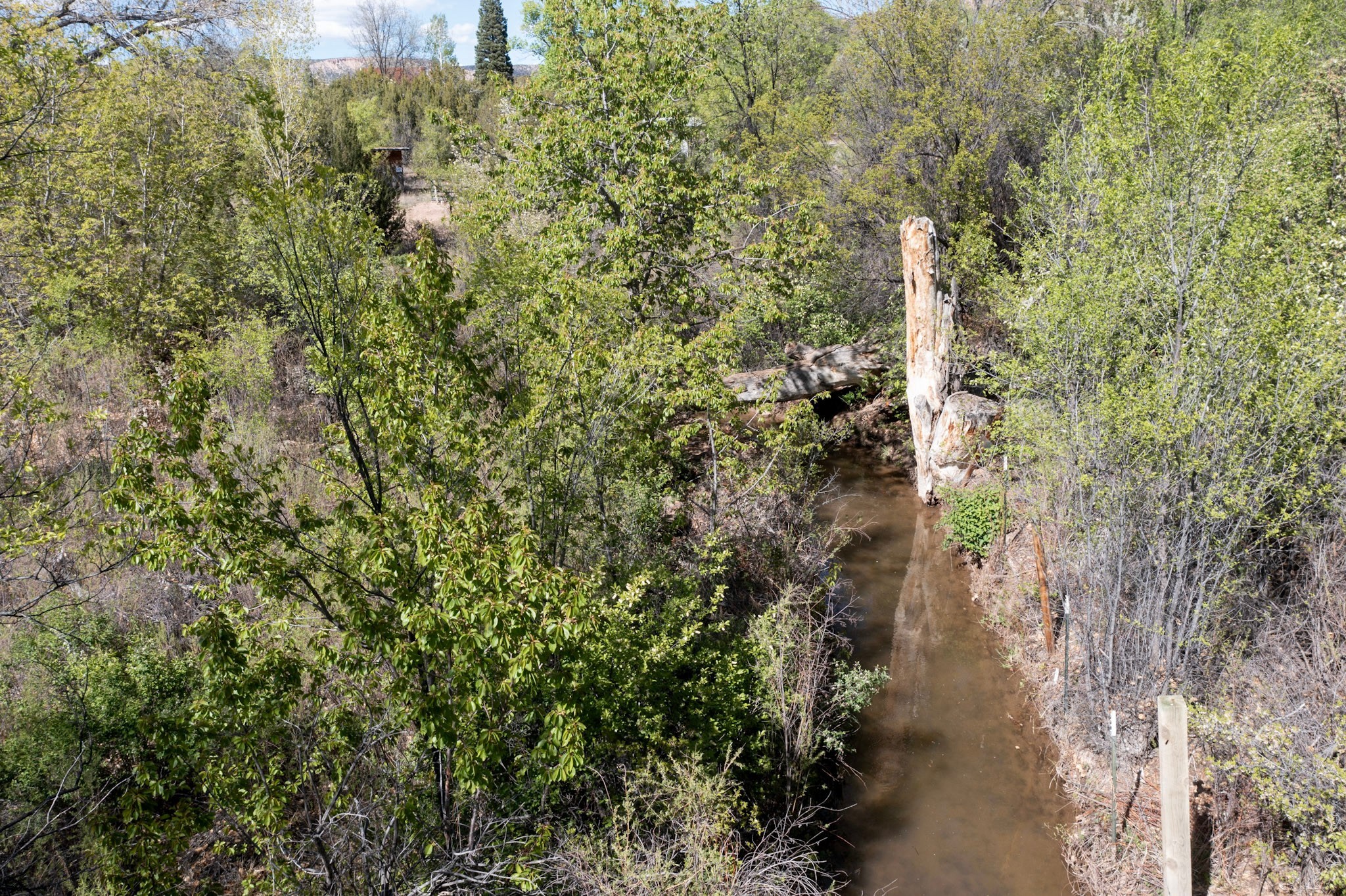 332 Juan Medina Road Chimayo, NM 87522 - Photo 5 of 17