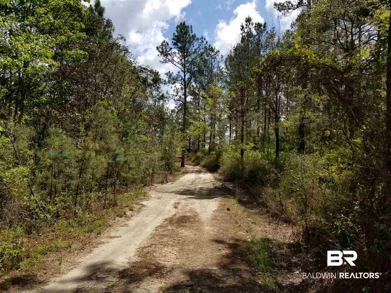 21850 Old Brady Road Robertsdale, AL 36567 - Photo 5 of 21