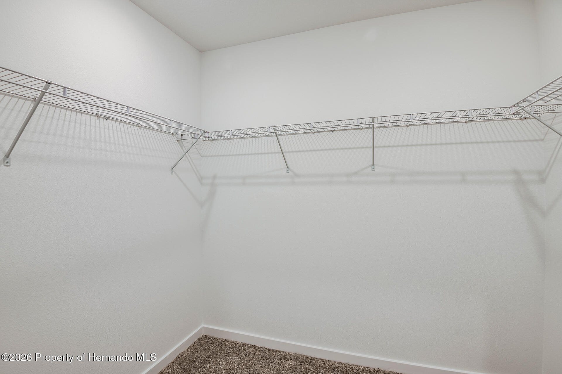 3705 Hornbeam Road Spring Hill, FL 34609 - Photo 11 of 18