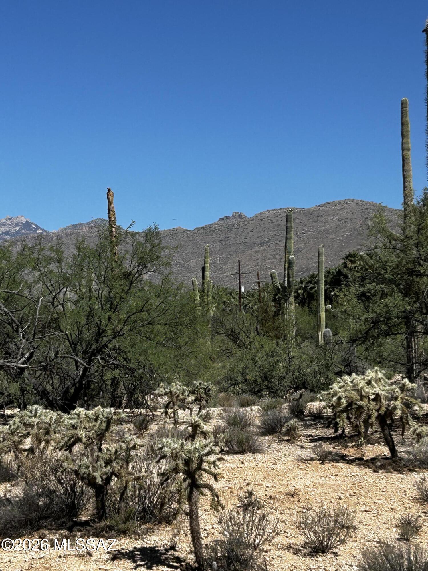 East Roger Road, Unit 46 Tucson, AZ 85749 - Photo 5 of 38