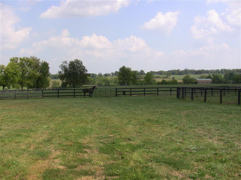 2000 Stamping Ground Road Georgetown, KY 40324 - Photo 29 of 33 Photo 29