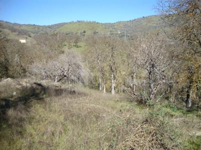 30258 Watts Valley Road Tollhouse, CA 93667 - Photo 5 of 12 Gallery Image 5