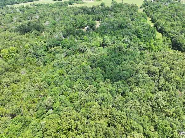 a view of a large yard with lots of green space