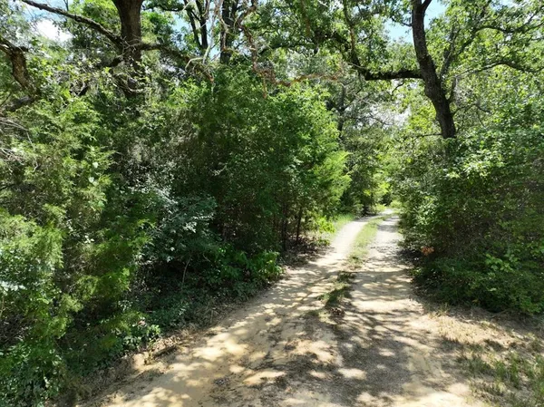 a view of a pathway both side of yard
