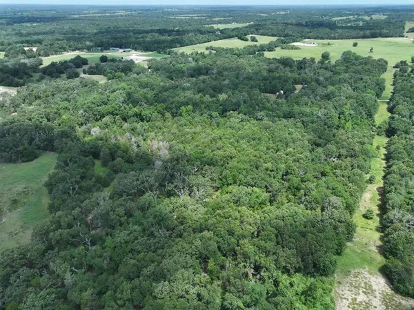 an aerial view of residential houses with outdoor space and trees
