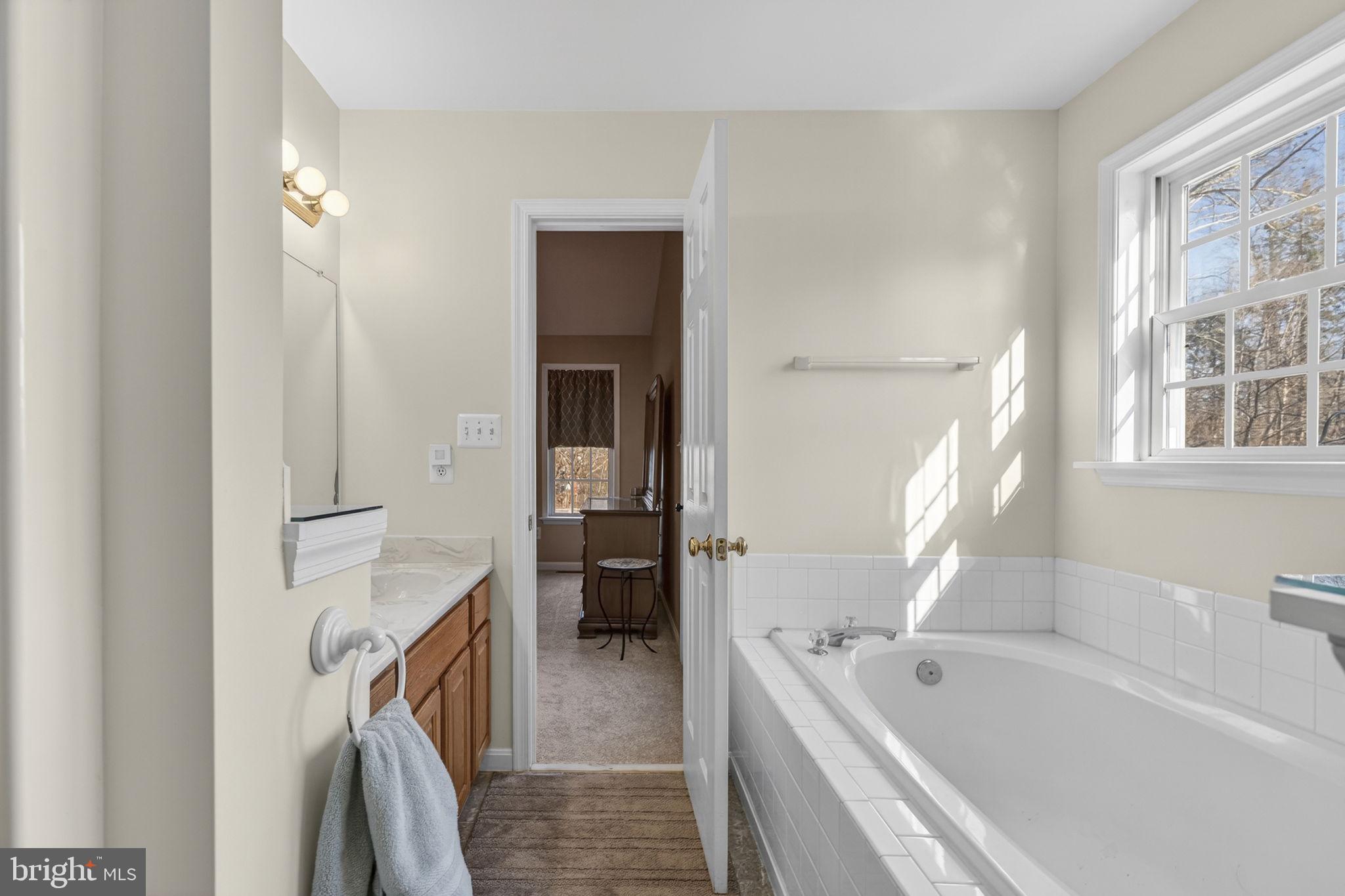 12376 Robin Road Culpeper, VA 22701 - Photo 31 of 70 a bathroom with a tub a sink and a large mirror